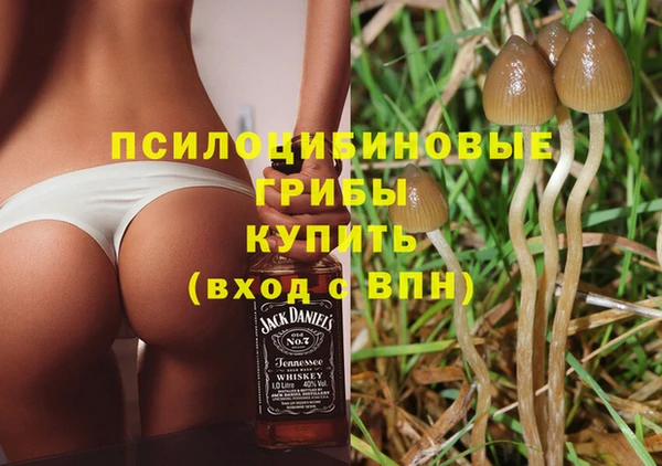 а пвп мука Балахна