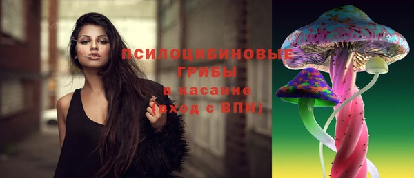 ПСИЛОЦИБИНОВЫЕ ГРИБЫ Баксан